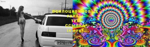 мдпв Бронницы